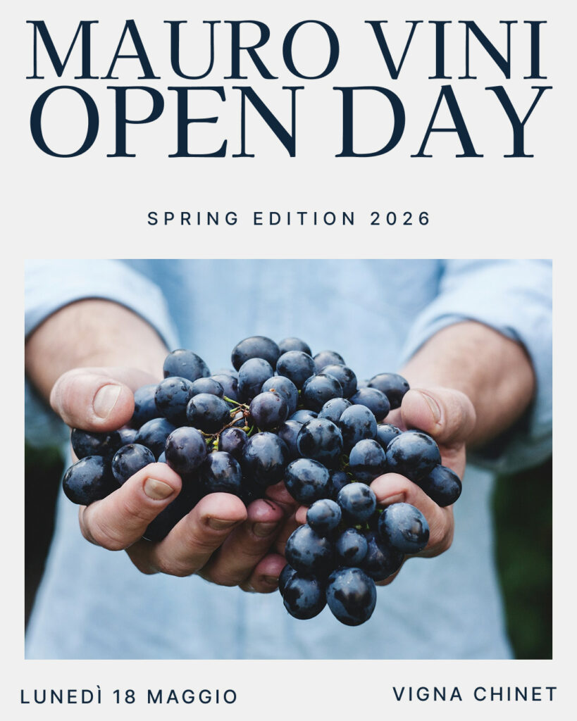 Montaribaldi al Mauro Vini Open Day 2026 | Spring Edition